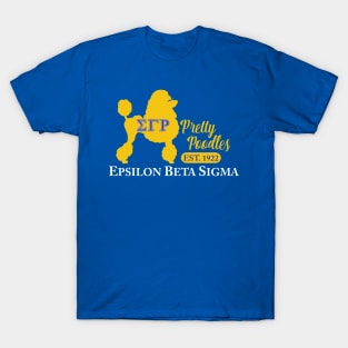 Epsilon Beta Sigma Shirt T-Shirt